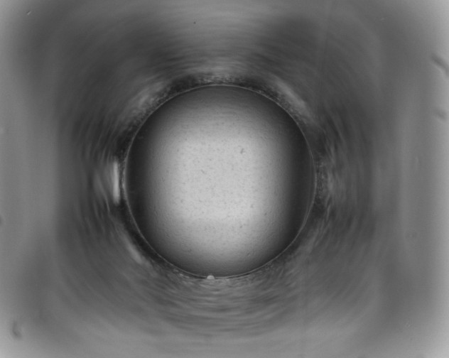 X0000098160022200804241814