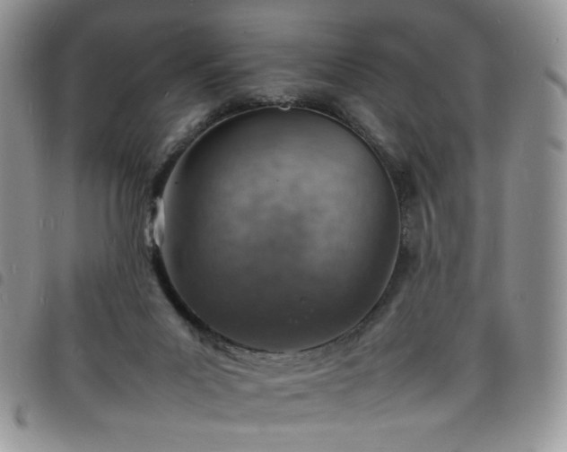 X0000098160023200804241814