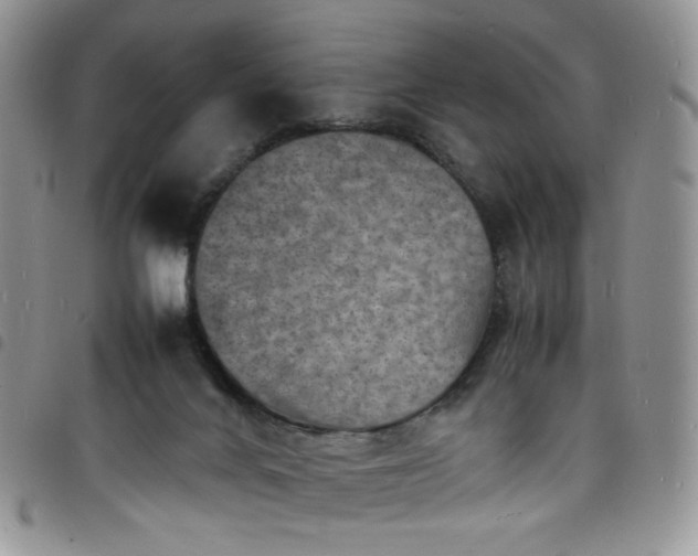 X0000098160024200804241814