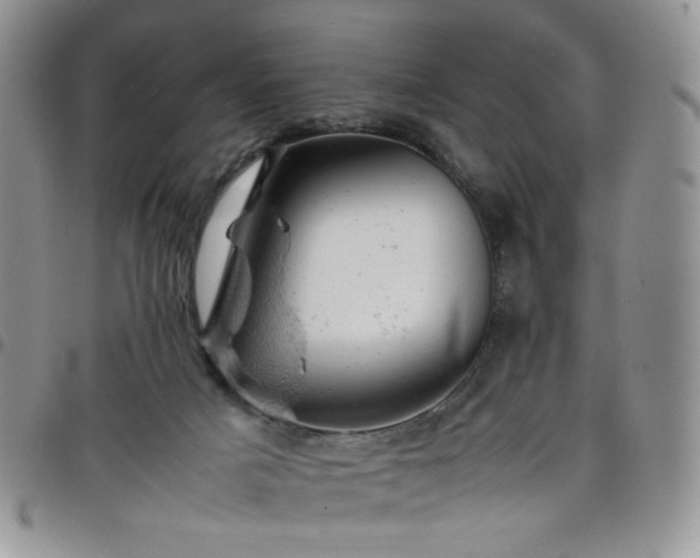 X0000098160025200804241814
