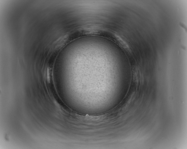 X0000098160026200804241814