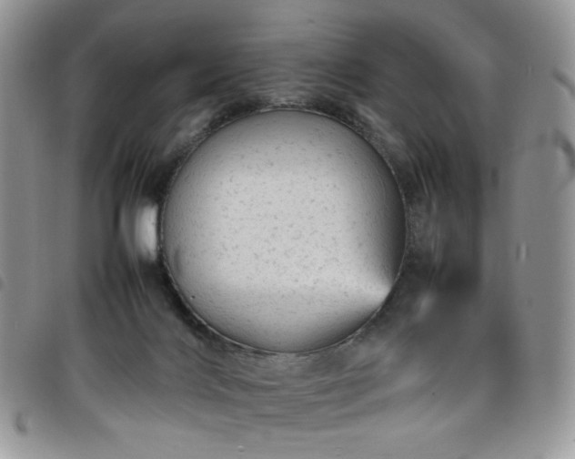 X0000098160028200804241814