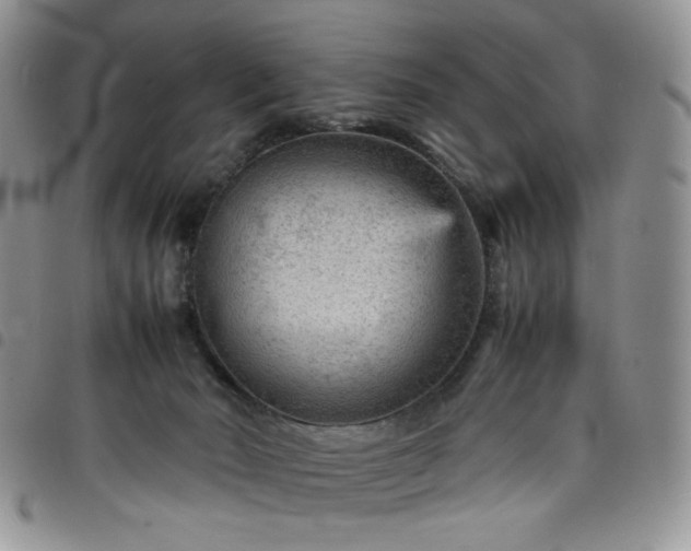 X0000098160030200804241814