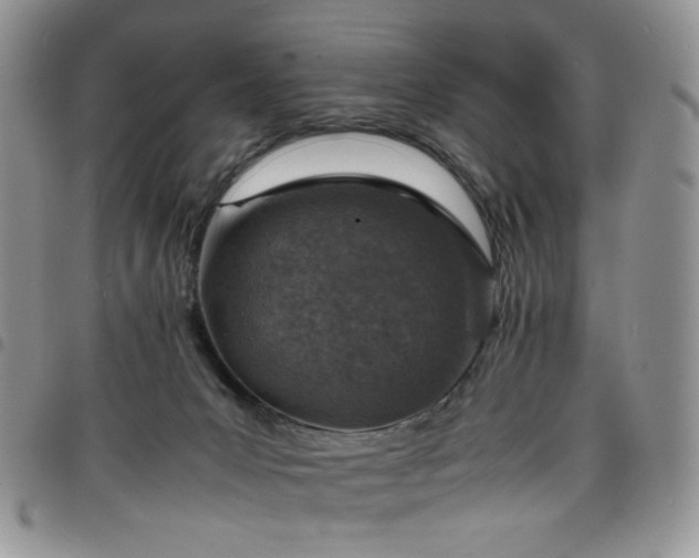 X0000098160031200804241814