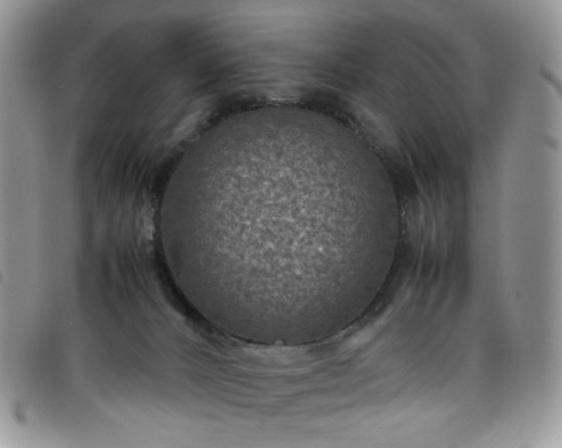 X0000098160032200804241814