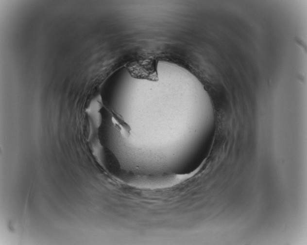 X0000098160033200804241814