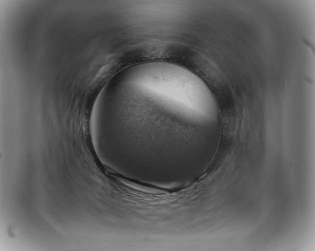 X0000098160035200804241814