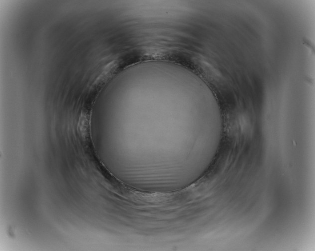 X0000098160036200804241814