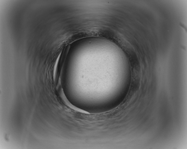 X0000098160037200804241814