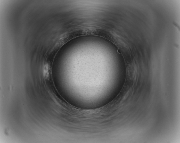 X0000098160038200804241814
