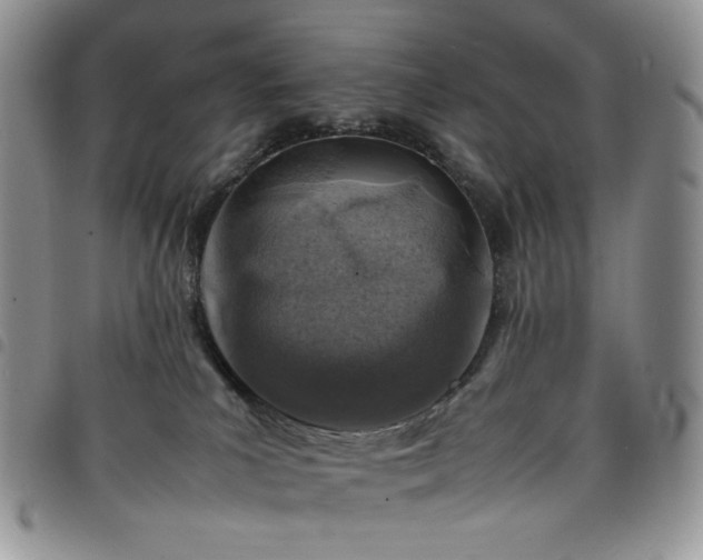 X0000098160039200804241814