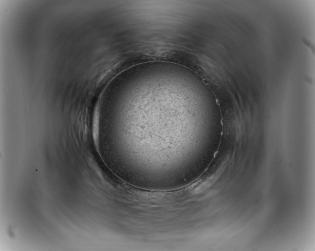 X0000098160040200804241814