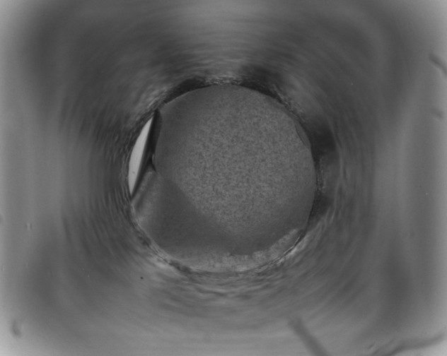 X0000098160041200804241814