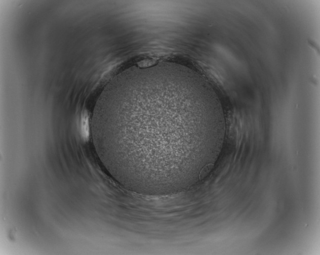 X0000098160042200804241814