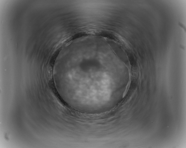 X0000098160043200804241814
