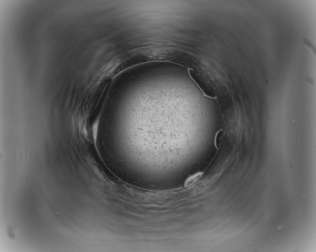 X0000098160044200804241814