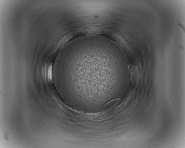 X0000098160046200804241814