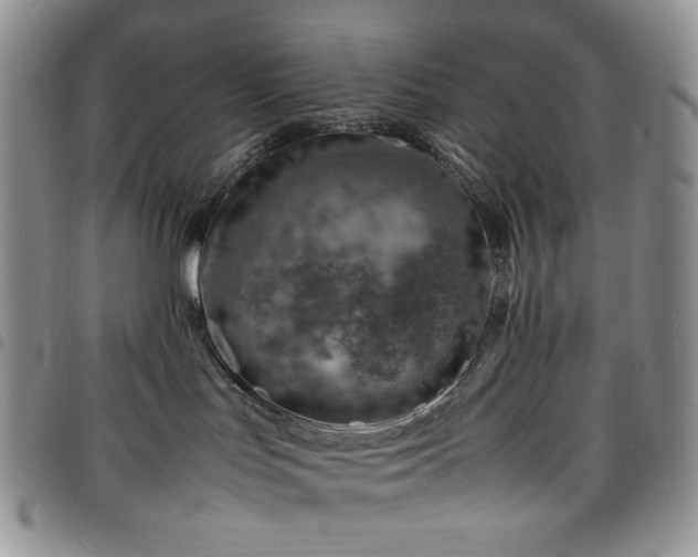 X0000098160047200804241814