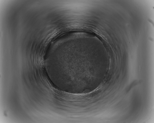 X0000098160048200804241814
