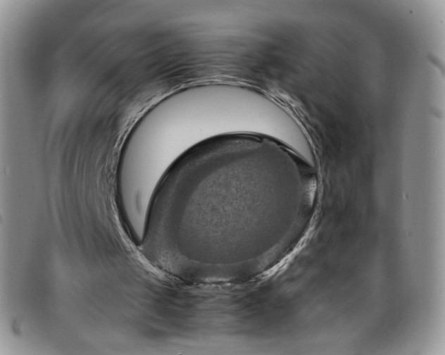 X0000098160049200804241813