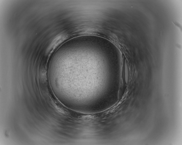X0000098160050200804241813