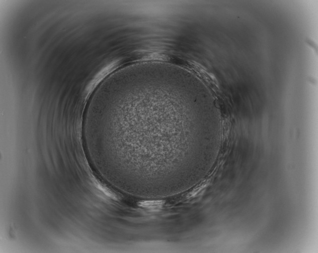 X0000098160051200804241813
