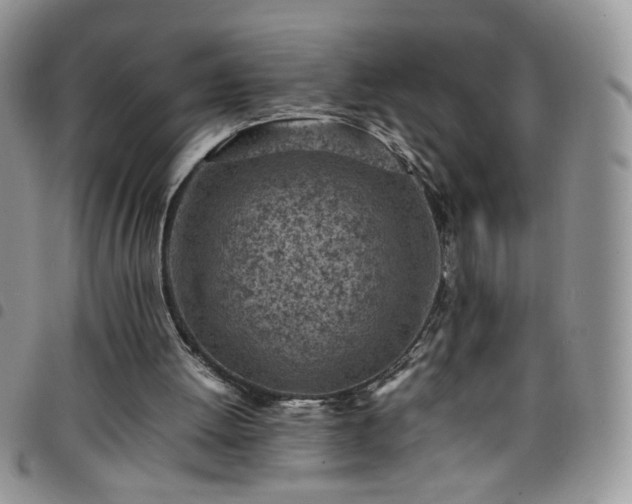 X0000098160052200804241813