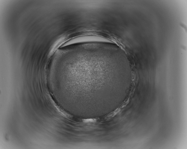 X0000098160053200804241813