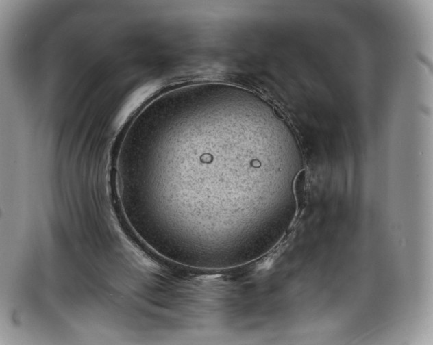 X0000098160054200804241813