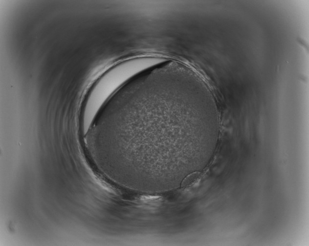 X0000098160055200804241813
