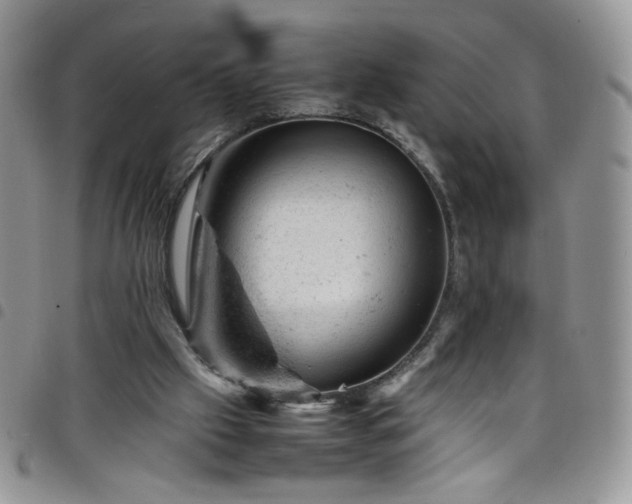 X0000098160057200804241813
