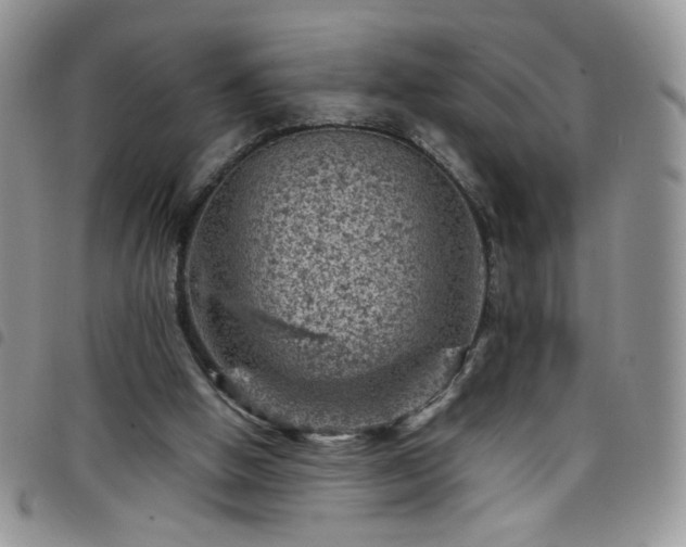 X0000098160058200804241813