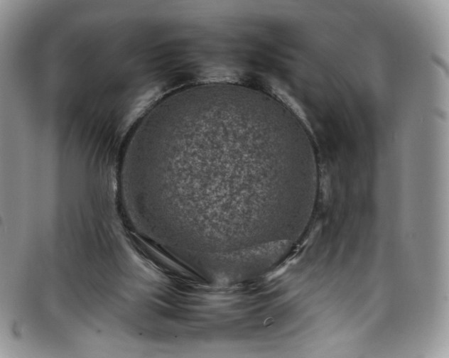X0000098160059200804241813