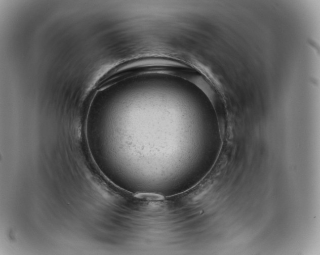 X0000098160060200804241813