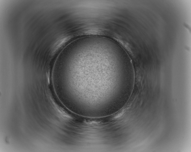 X0000098160062200804241813
