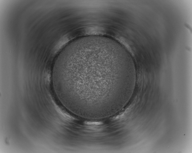 X0000098160063200804241813