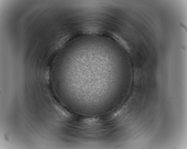 X0000098160065200804241813