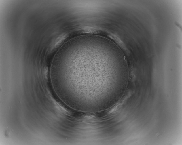X0000098160066200804241813