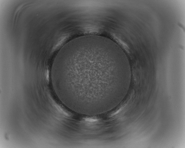X0000098160067200804241813