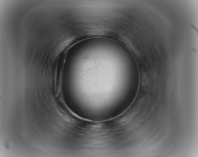 X0000098160068200804241813