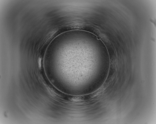 X0000098160070200804241813