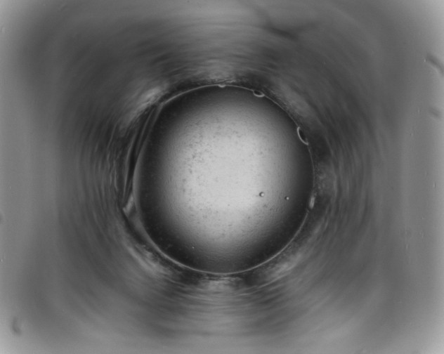 X0000098160072200804241813
