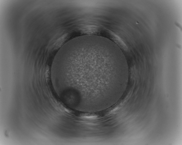 X0000098160073200804241813