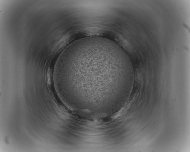 X0000098160074200804241813
