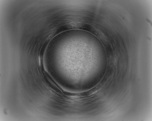 X0000098160075200804241813