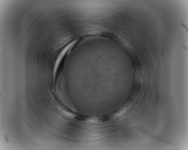X0000098160076200804241813