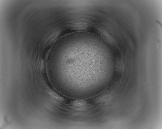 X0000098160077200804241813