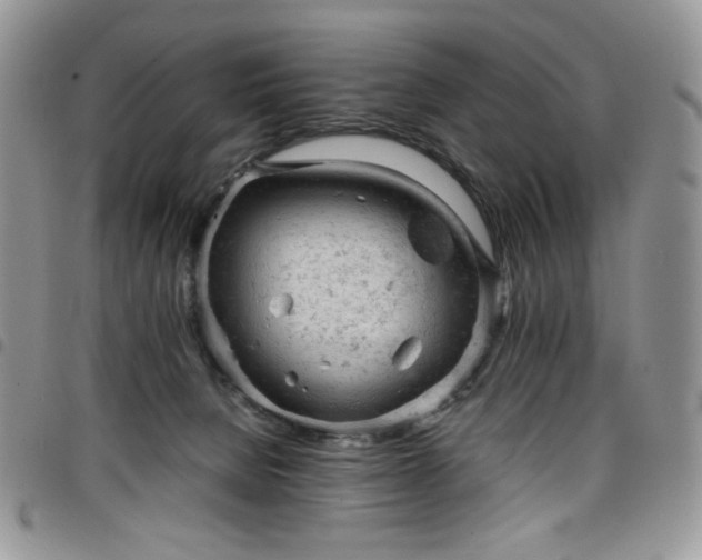 X0000098160080200804241813