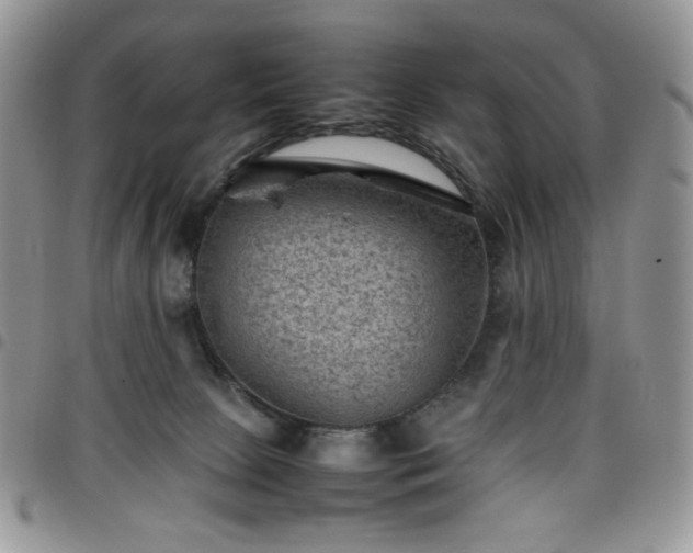 X0000098160081200804241813