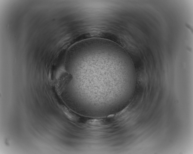 X0000098160082200804241813